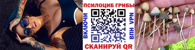 KRAKEN ONION  Черемхово  Галлюциногенные грибы GOLDEN TEACHER 